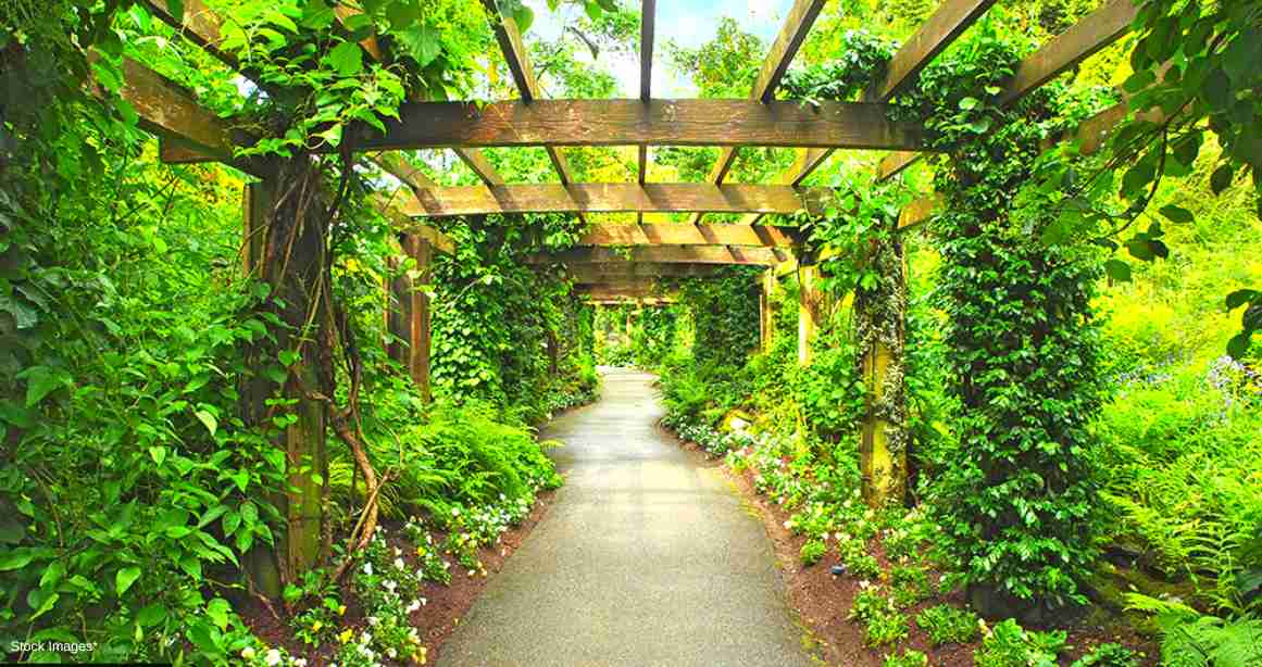 Greenery with Pergolas in Dosti Eden